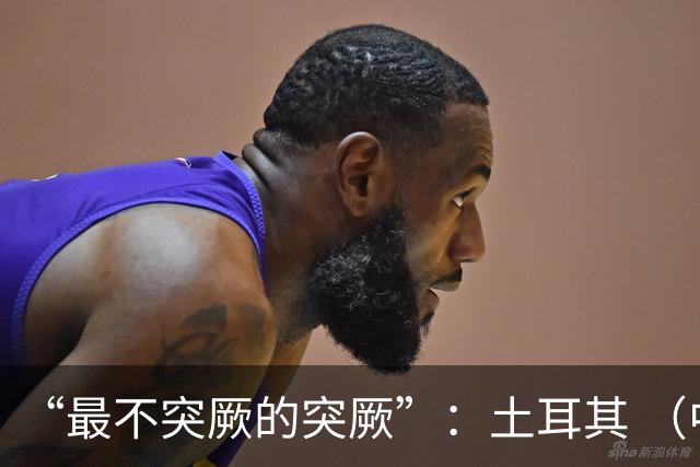 “最不突厥的突厥”：土耳其 （中土网友大战系列之一）