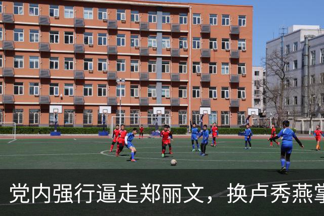 党内强行逼走郑丽文，换卢秀燕掌舵！国民党2028会遭遇惨败吗？