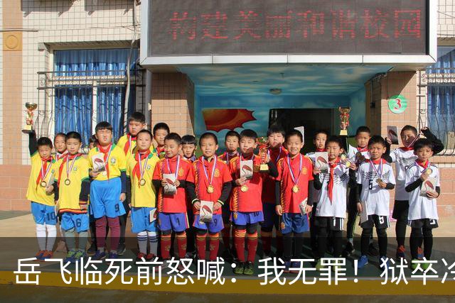 岳飞临死前怒喊：我无罪！狱卒冷冷回应6字，令岳飞无言以对！