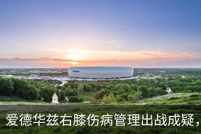 爱德华兹右膝伤病管理出战成疑，森林狼客战骑士少了迪文岑佐