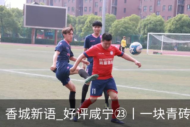 香城新语 好评咸宁㉓丨一块青砖茶，泡出新气象