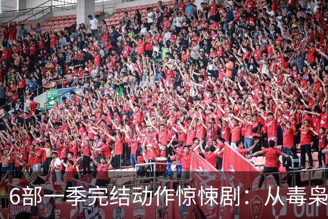 6部一季完结动作惊悚剧：从毒枭运货到卧底复仇，一晚刷完