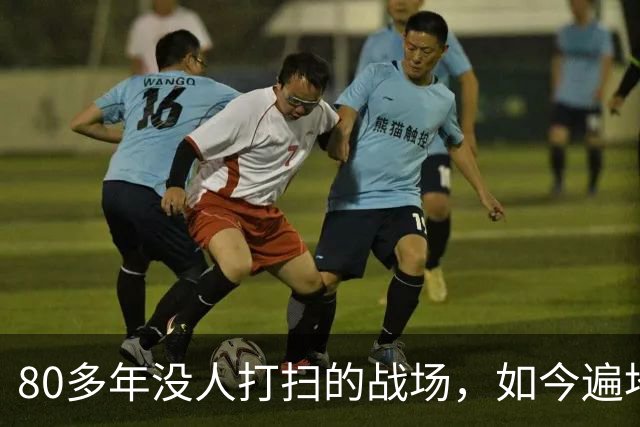 80多年没人打扫的战场，如今遍地都是“黄金”，不少人发了大财